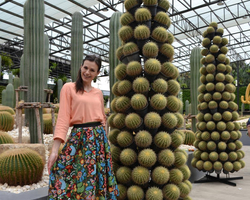 Travel to Nong Nooch Tropical Garden in Pattaya Thailand photo 435