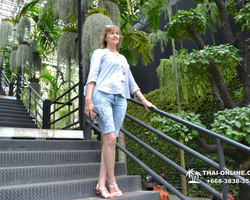 Travel to Nong Nooch Tropical Garden in Pattaya Thailand photo 205