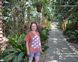Travel to Nong Nooch Tropical Garden in Pattaya Thailand photo 105