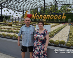 Travel to Nong Nooch Tropical Garden in Pattaya Thailand photo 415