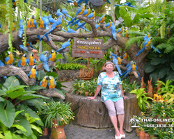 Travel to Nong Nooch Tropical Garden in Pattaya Thailand photo 65