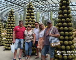Travel to Nong Nooch Tropical Garden in Pattaya Thailand photo 160