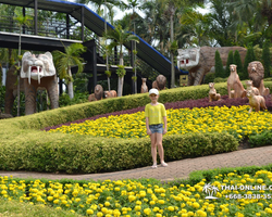 Travel to Nong Nooch Tropical Garden in Pattaya Thailand photo 3