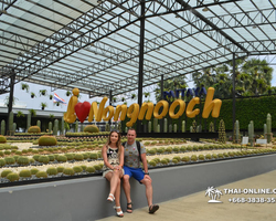 Travel to Nong Nooch Tropical Garden in Pattaya Thailand photo 113