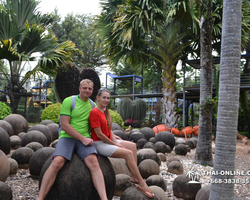 Travel to Nong Nooch Tropical Garden in Pattaya Thailand photo 248