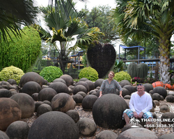 Travel to Nong Nooch Tropical Garden in Pattaya Thailand photo 354