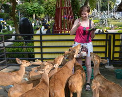 Travel to Nong Nooch Tropical Garden in Pattaya Thailand photo 228