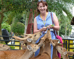 Travel to Nong Nooch Tropical Garden in Pattaya Thailand photo 198