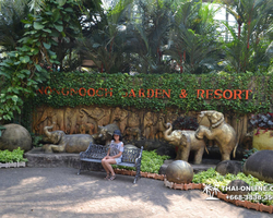 Travel to Nong Nooch Tropical Garden in Pattaya Thailand photo 182