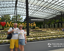 Travel to Nong Nooch Tropical Garden in Pattaya Thailand photo 201