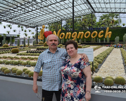 Travel to Nong Nooch Tropical Garden in Pattaya Thailand photo 143