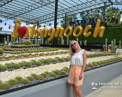 Travel to Nong Nooch Tropical Garden in Pattaya Thailand photo 109