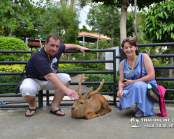 Travel to Nong Nooch Tropical Garden in Pattaya Thailand photo 334