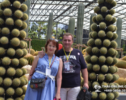 Travel to Nong Nooch Tropical Garden in Pattaya Thailand photo 253