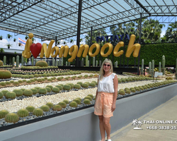 Travel to Nong Nooch Tropical Garden in Pattaya Thailand photo 168