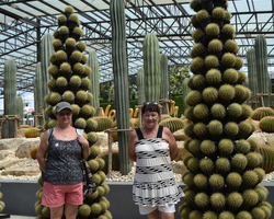 Travel to Nong Nooch Tropical Garden in Pattaya Thailand photo 274