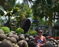 Travel to Nong Nooch Tropical Garden in Pattaya Thailand photo 203