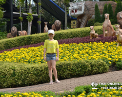 Travel to Nong Nooch Tropical Garden in Pattaya Thailand photo 15