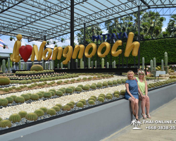 Travel to Nong Nooch Tropical Garden in Pattaya Thailand photo 187