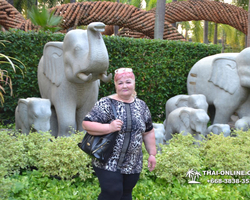 Travel to Nong Nooch Tropical Garden in Pattaya Thailand photo 371