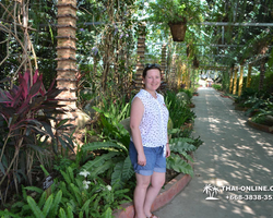 Travel to Nong Nooch Tropical Garden in Pattaya Thailand photo 110