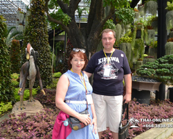 Travel to Nong Nooch Tropical Garden in Pattaya Thailand photo 269