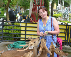 Travel to Nong Nooch Tropical Garden in Pattaya Thailand photo 235