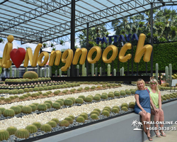Travel to Nong Nooch Tropical Garden in Pattaya Thailand photo 87