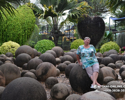 Travel to Nong Nooch Tropical Garden in Pattaya Thailand photo 437
