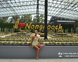 Travel to Nong Nooch Tropical Garden in Pattaya Thailand photo 223