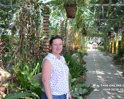 Travel to Nong Nooch Tropical Garden in Pattaya Thailand photo 82