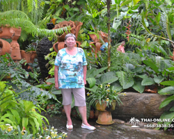 Travel to Nong Nooch Tropical Garden in Pattaya Thailand photo 270