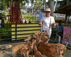 Travel to Nong Nooch Tropical Garden in Pattaya Thailand photo 237