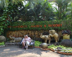 Travel to Nong Nooch Tropical Garden in Pattaya Thailand photo 196