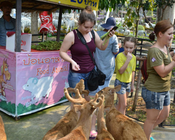 Travel to Nong Nooch Tropical Garden in Pattaya Thailand photo 468
