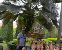 Travel to Nong Nooch Tropical Garden in Pattaya Thailand photo 185
