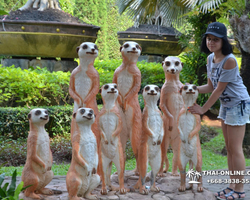 Travel to Nong Nooch Tropical Garden in Pattaya Thailand photo 399