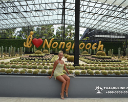 Travel to Nong Nooch Tropical Garden in Pattaya Thailand photo 195