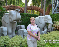 Travel to Nong Nooch Tropical Garden in Pattaya Thailand photo 392