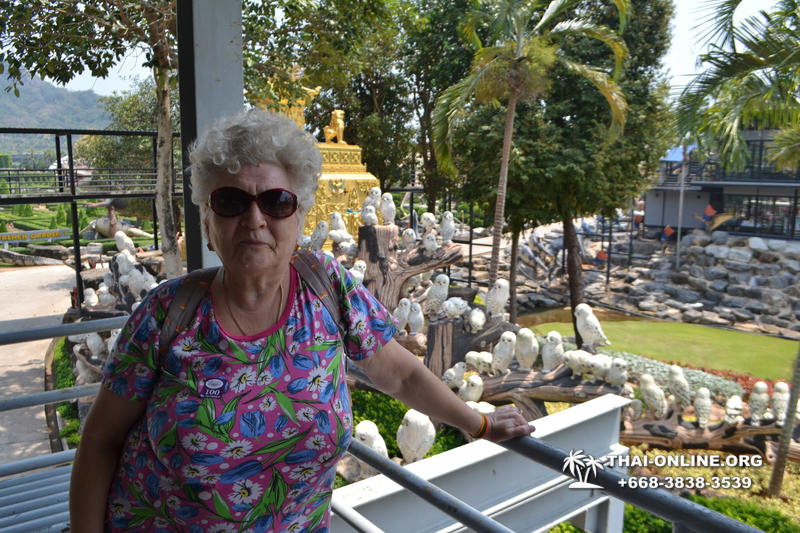 Nong Nooch Tropical Garden with shuttle-bus excursion, lunch, elephant show, Thai folklore show and Pattaya Snake Show guided tour photo 6