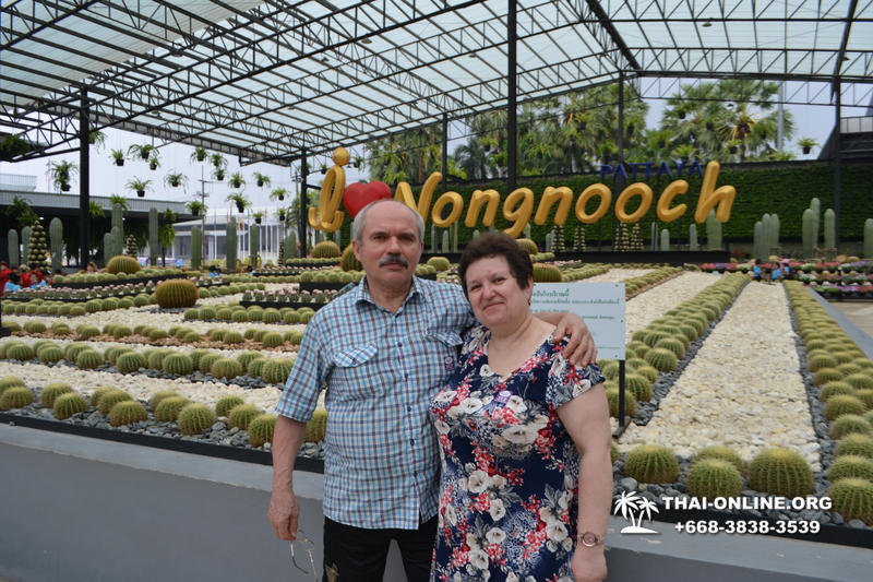 Travel to Nong Nooch Tropical Garden in Pattaya Thailand photo 132