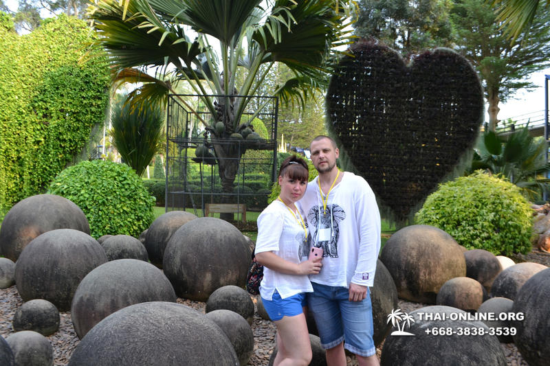 Travel to Nong Nooch Tropical Garden in Pattaya Thailand photo 189