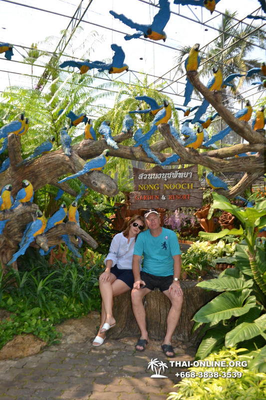 Travel to Nong Nooch Tropical Garden in Pattaya Thailand photo 100
