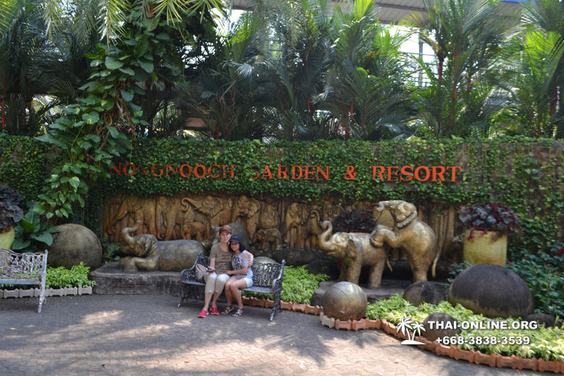 Travel to Nong Nooch Tropical Garden in Pattaya Thailand photo 343