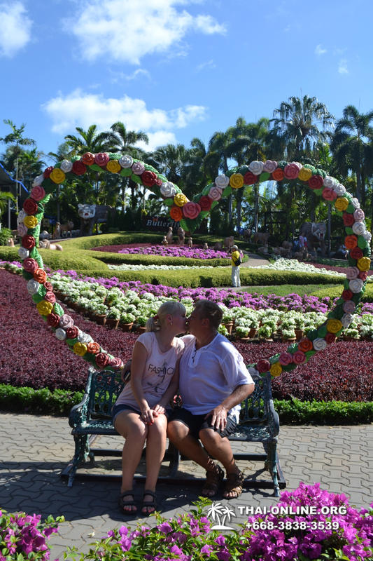 Nong Nooch Tropical Garden with shuttle-bus excursion, lunch, elephant show, Thai folklore show and Pattaya Snake Show guided tour photo 54