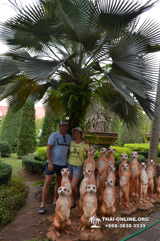Travel to Nong Nooch Tropical Garden in Pattaya Thailand photo 158