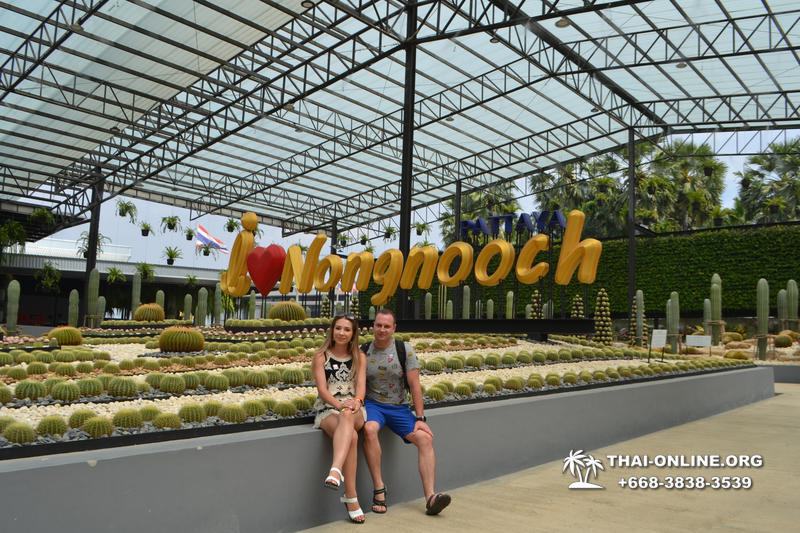 Nong Nooch Tropical Garden with shuttle-bus excursion, lunch, elephant show, Thai folklore show and Pattaya Snake Show guided tour photo 17