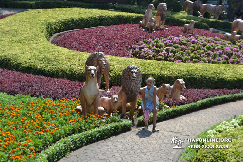 Nong Nooch Tropical Garden with shuttle-bus excursion, lunch, elephant show, Thai folklore show and Pattaya Snake Show guided tour photo 69