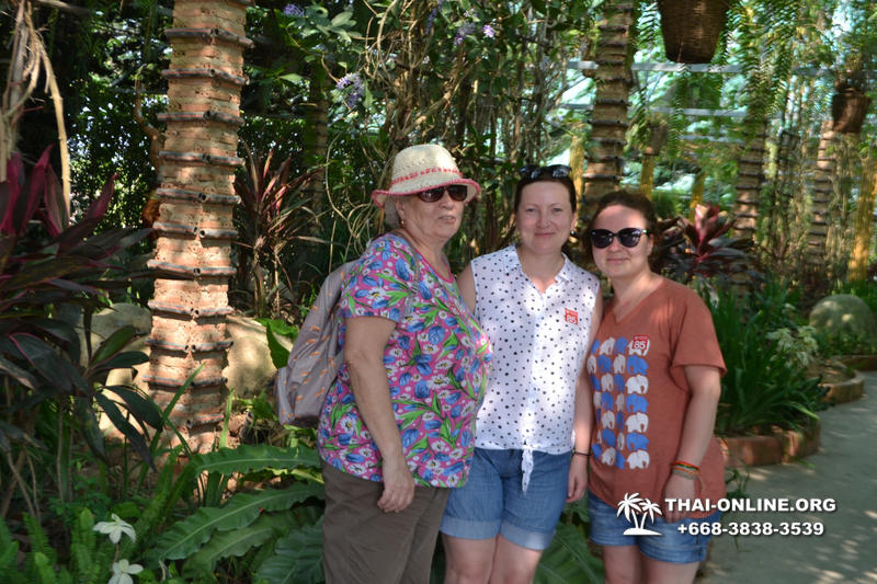 Travel to Nong Nooch Tropical Garden in Pattaya Thailand photo 180