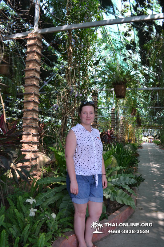Travel to Nong Nooch Tropical Garden in Pattaya Thailand photo 38